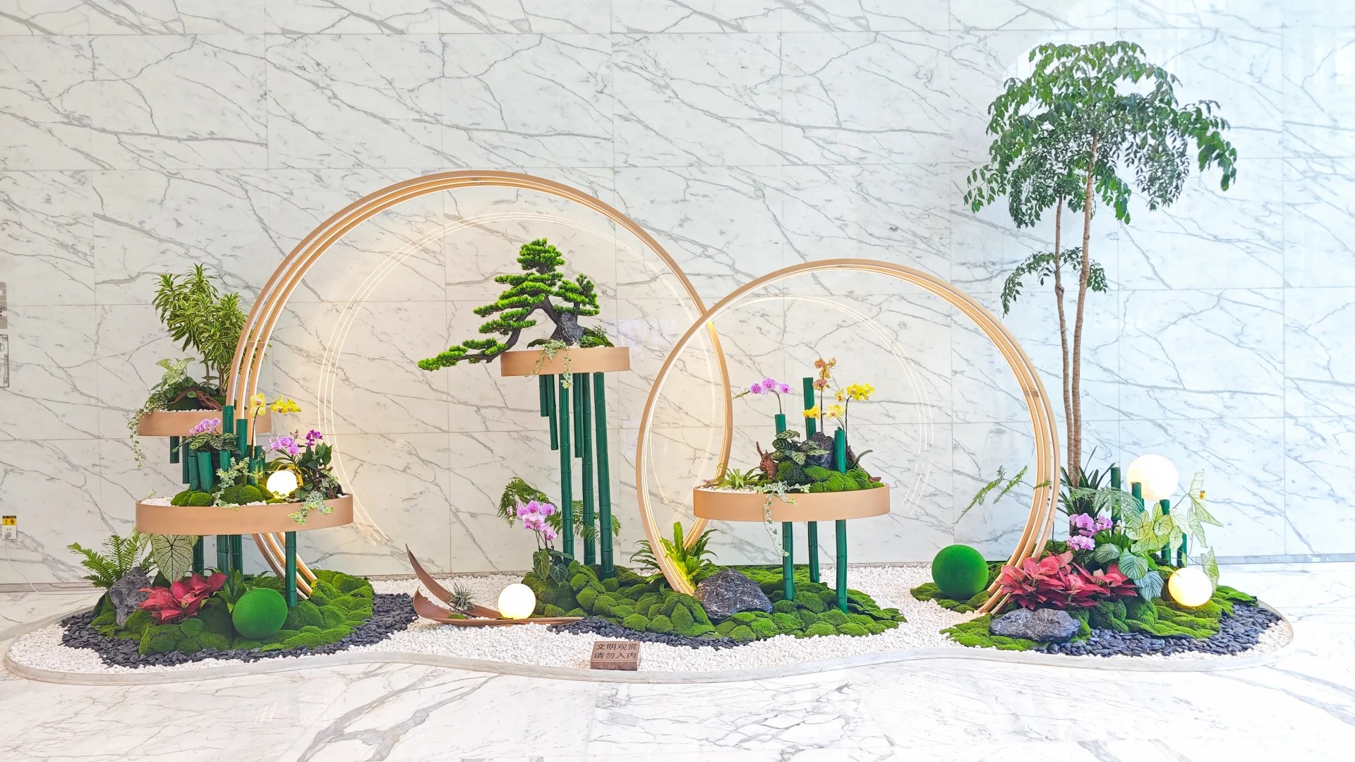 专业植物出租，为宁波奉化增添一抹生机